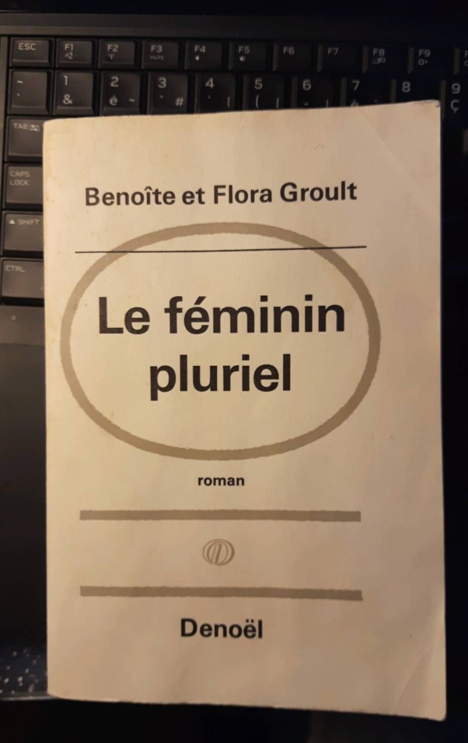 Le Pluriel Féminin De Benoîte Et Flora Groult Chez Denoël 1965, Roman 407 Pages, Format 20 X 19,8 X 3 Cm. Originalité, Littérature, Voyage, Psychologie Féminine