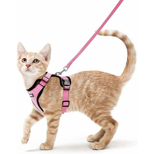 Harnais Chat Petit Chien Laisse Harnais Chaton Réglable Rose Xs Collier Harnai Chat Refléchissant Gilet Respirant Pour Lapin, Chat Européen, Maine Coon, Persan, Attache Dessus Avec Laisse-