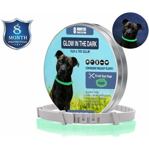 Collier Anti-Puces Et Anti-Tiques Pour Chiens Et Chats, Brille Dans Le Noir, Taille Imperméable Et Réglable, Protection 8 Mois, 1 Paquet (Grand)