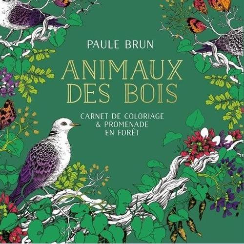 Animaux Des Bois - Carnet De Coloriage & Promenade En Forêt