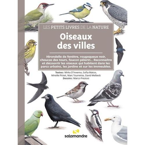 Oiseaux Des Villes