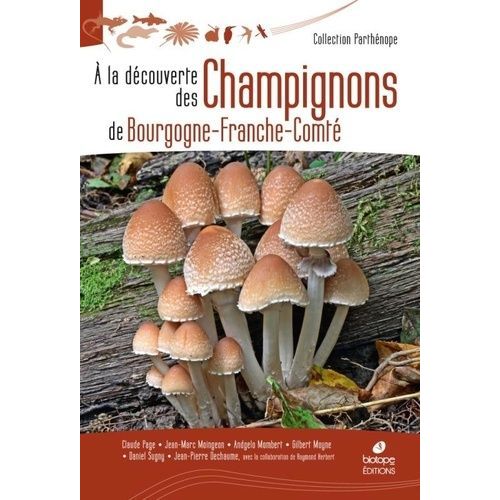 A La Découverte Des Champignons De Bourgogne-Franche-Comté