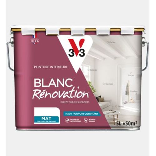 Peinture Rénovation Blanc Mat Pot 5l
