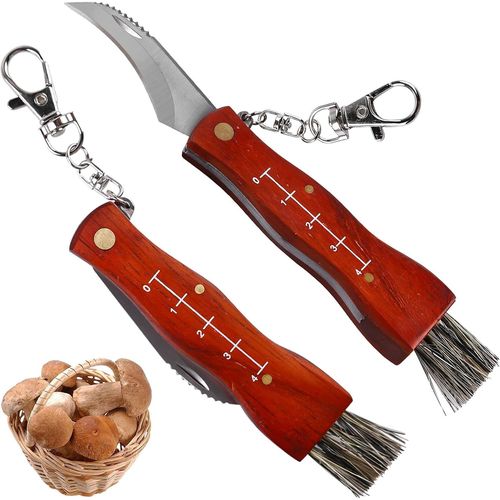 Couteau À Champignons 2 Pièces Avec Brosse Et Règle, Couteau De Poche À Champignons/Truffes, Couteau À Champignons Pliant Avec Brosse Couteau Pliant D'extérieur Pour Les Collectionneurs De Champignons
