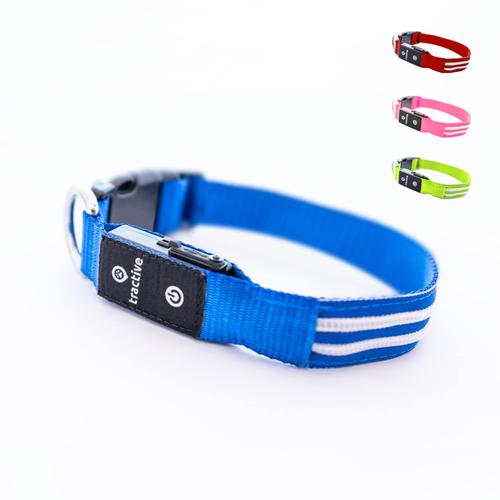 Tractive - Collier Chien Led Lumineux Rechargeable Par Usb Étanche Bleu