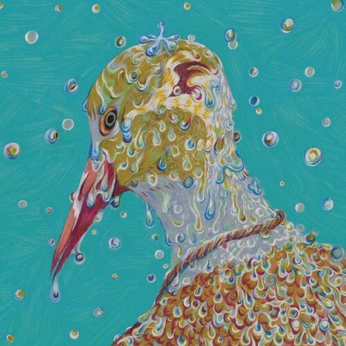 Chartreuse - Morning Ritual [Compact Discs]