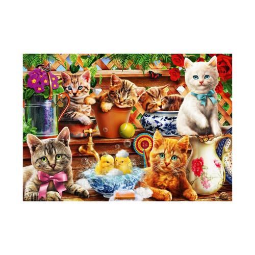 Puzzle Bluebird - Chatons Dans Le Hangar, 1000 Pièces