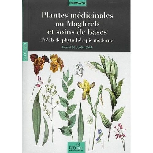 Plantes Me?Dicinales Au Maghreb Et Soins De Bases - Pre?Cis De Phytothe?Rapie Moderne