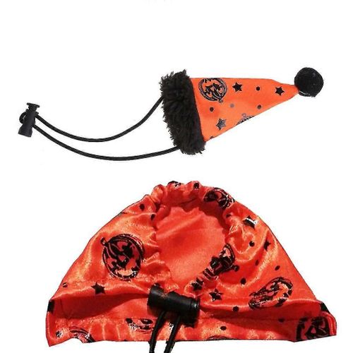 Lézard Costume De Vacances Barbu Dragon Halloween Chapeau Et Ensemble De Cape Réglable