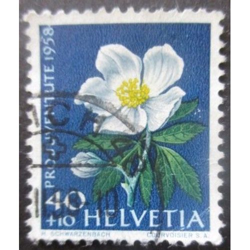 Suisse N°620 Rose De Noel Oblitéré