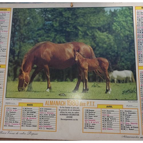 Almanach Des Ptt 1980