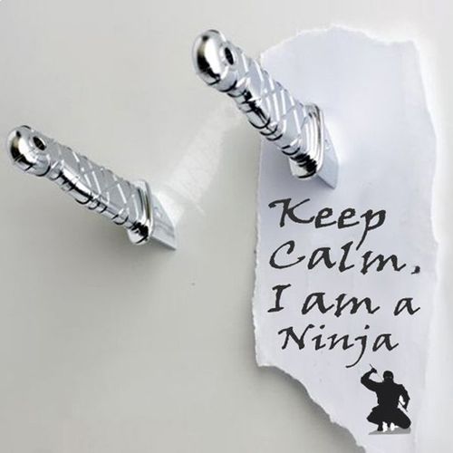 2 Couteaux Aimantés Ninja Pour Frigo Doré