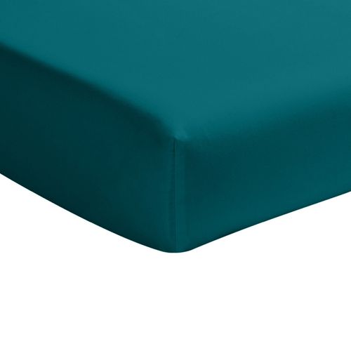 Drap Housse 160x200 Cm Percale De Coton Bleu Canard