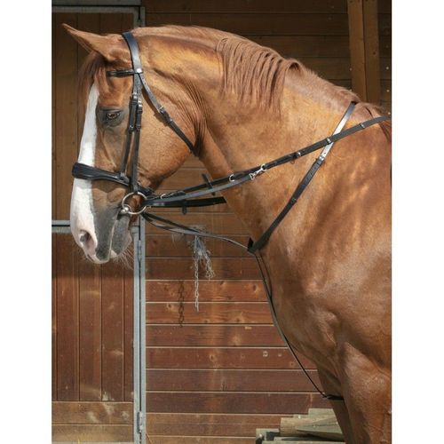 Enrênement Norton Pro "Thiedeman" - Couleur : Noir, Taille : Cheval, Équitation