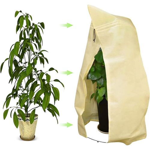 Hivernage pour Plantes, Housse de Plante(120 x 180CM), Housse de Protection pour Plante Non Tiss¿¿e Protection Contre Le Gel des Plantes en Pots et Rosiers