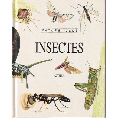 Insectes Et Autres Petits Animaux