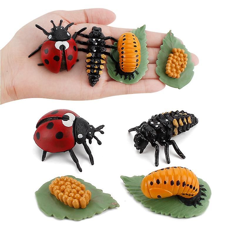 4 Pices Jouets D'insectes, Cycle De Croissance De Coccinell... - 3