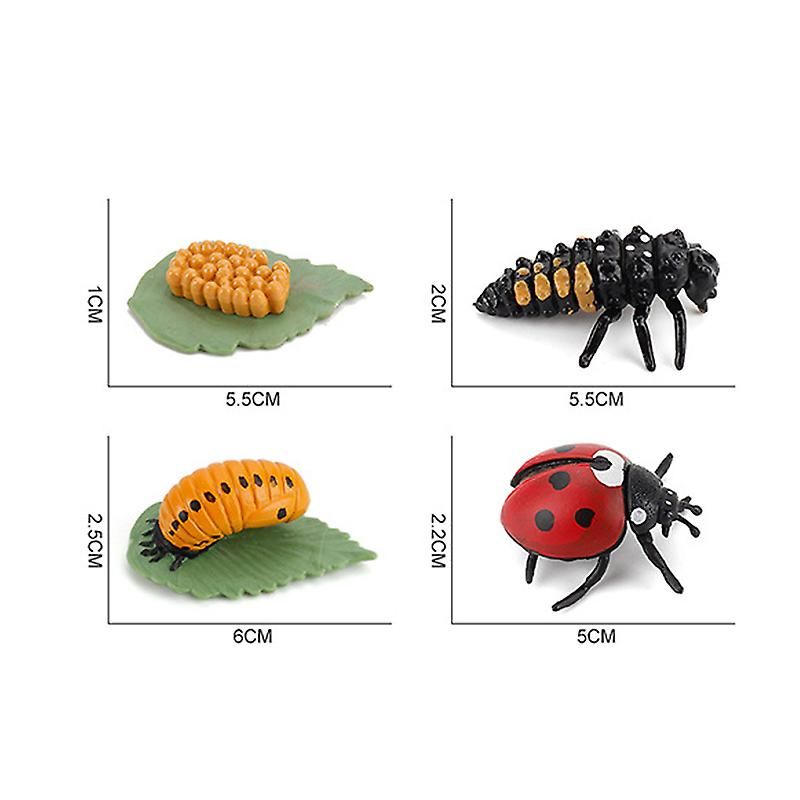 4 Pices Jouets D'insectes, Cycle De Croissance De Coccinell... - 4