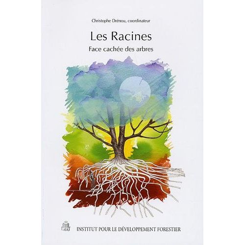 Les Racines - Face Cachée Des Arbres