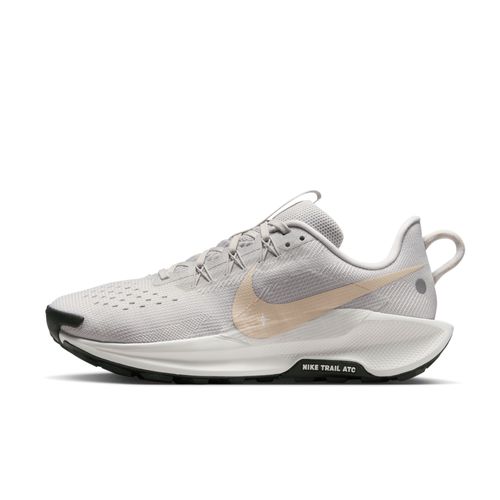 Chaussures De Trail Nike Pegasus Trail 5 Pour Gris