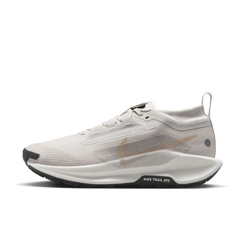 Chaussures De Trail Imperméable Nike Pegasus Trail 5 Gorestex Pour Gris
