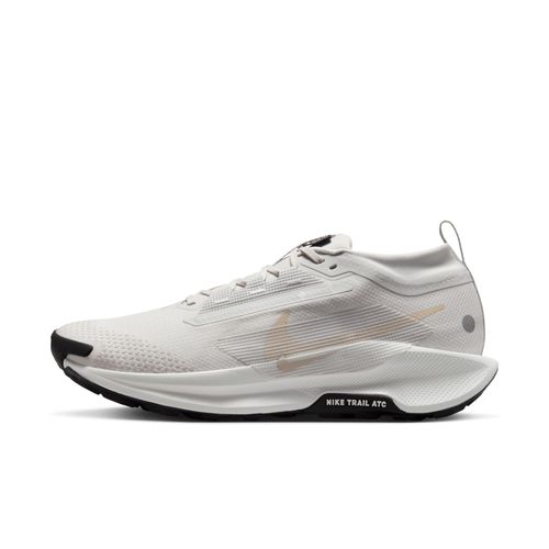 Chaussures De Trail Imperméable Nike Pegasus Trail 5 Gorestex Pour Gris