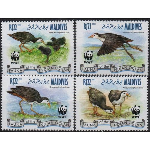 Maldives Timbres Animaux : Les Oiseaux 2013