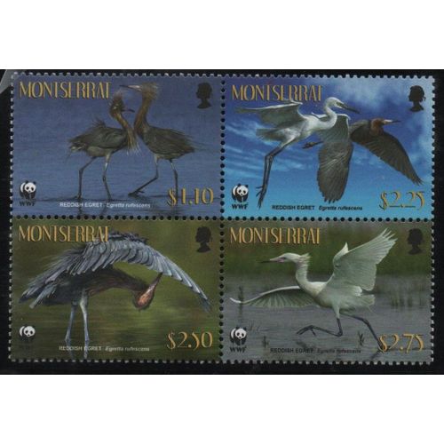 Montserrat ( Antilles ) Timbres Animaux 2010