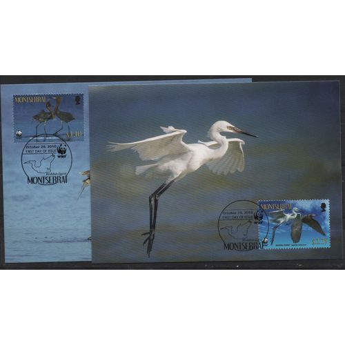 Montserrat ( Antilles ) Cartes Postales Les Oiseaux 2010