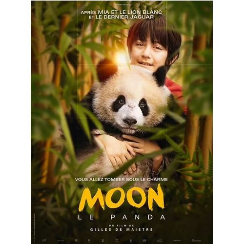 Moon Le Panda - Affiche Originale De Cinéma - Format 120x160 Cm - Un Film De Gilles De Maistre Avec Noé Yé, Alexandra Lamy, Nina Yé, Sylvia Chang, Liu Martane - Année 2025