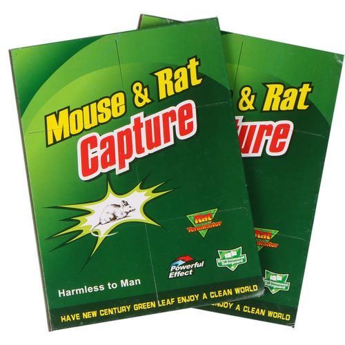 Piege a Souris Piege a Rats Efficace Attrape Souris 10 Plaques de Glu Collante Vert Grande Taille 21 X 32 cm Pour la Maison et le Jardin