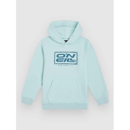 O'neill Logo Kids Sweat À Capuche Bleu