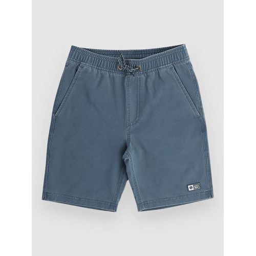 Salty Crew Seadog Volley Kids Boardshort Bleu