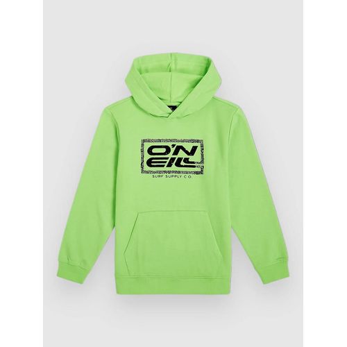 O'neill Logo Kids Sweat À Capuche Vert