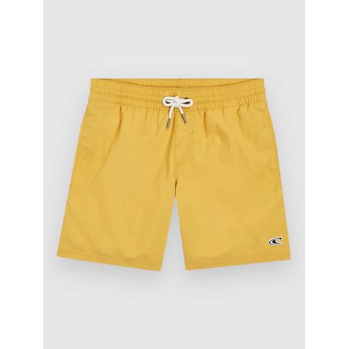 O'neill Vert 14"" Kids Boardshort Vert
