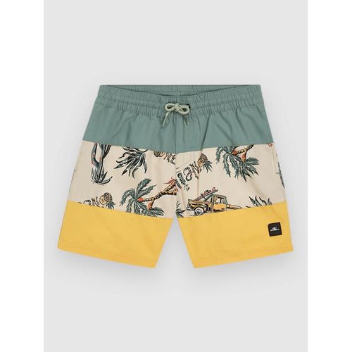 O'neill Mix & Match Cali Block 13'' Kids Boardshort