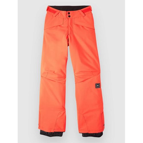 O'neill Hammer Kids Pantalon Orange