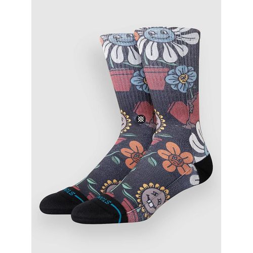Stance Planted Crew Chaussettes À Motifs