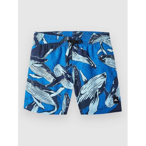 O'neill Cali Print 13'' Kids Boardshort Bleu