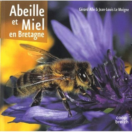 Abeille Et Miel En Bretagne