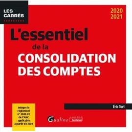 L'essentiel De La Consolidation Des Comptes