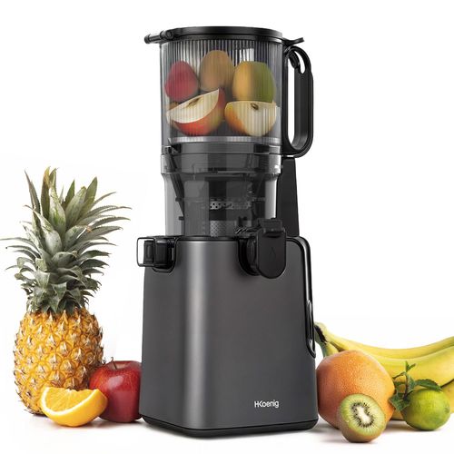 Extracteur de jus lent à grande ouverture - GSX26