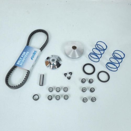 Kit Variateur Complet Polini Pour Scooter Piaggio Typhoon 50 2001-2010 241.672.2