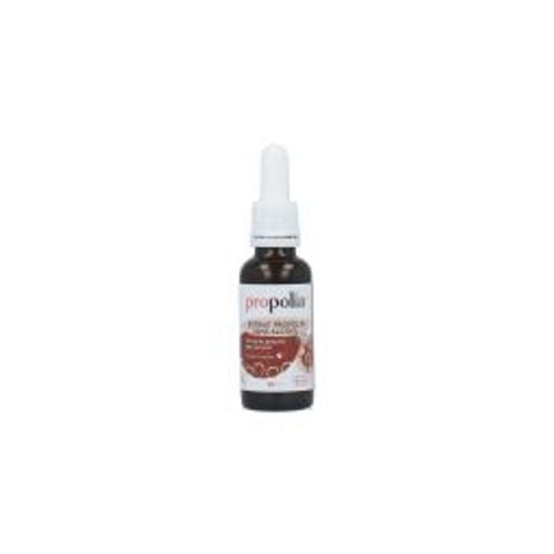 Extrait De Propolis Sans Alcool - Propolia - 1 Unité 
