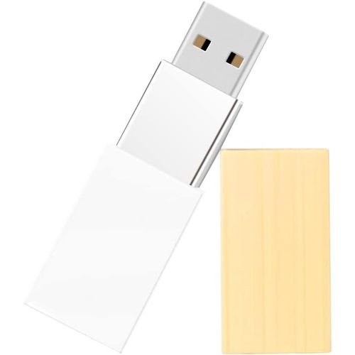 Clé USB 32Go Acrylique, Mémoire Stick USB Pendrive Flash Drive en Silicone Cadeaux pour étudiants, familles et Enfants (32Go,Acrylique)