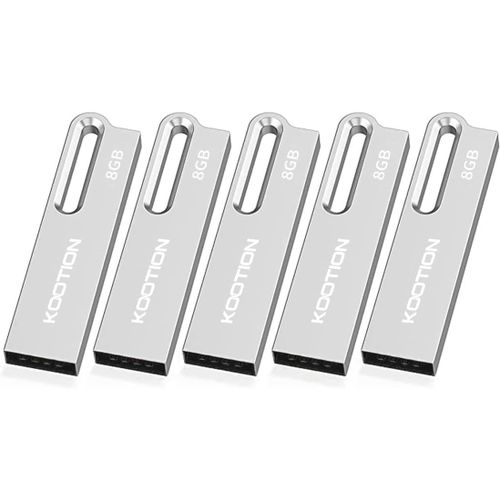 5 Lot 8 Go Cl USB 2.0 Cl USB en mtal avec Porte-cls 8 Go tanche Jump Drive Memory Sticks pour Ordinateur/Ordinateur Portable Sauvegarde de Stockage (5 Lot 8 Go 2.0, Argent)