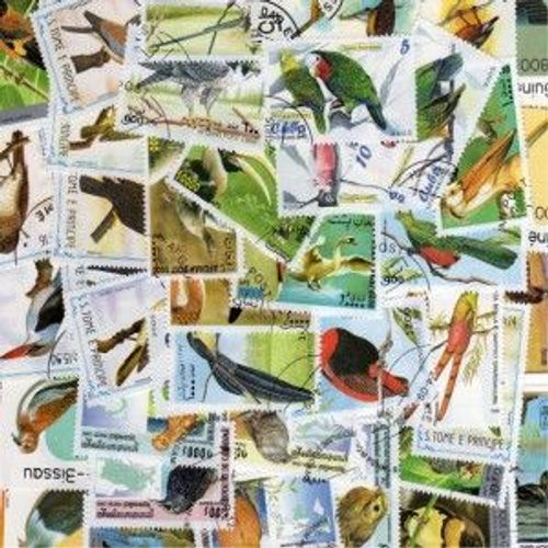 50 Timbres Oiseaux