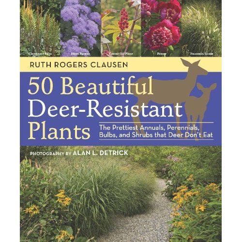 50 Beautiful DeerResistant Plants The Prettiest Annuals, Perennials