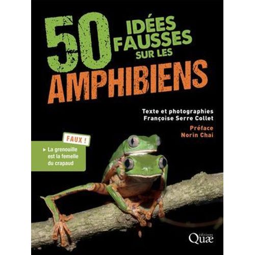 50 Ides Fausses Sur Les Amphibiens  