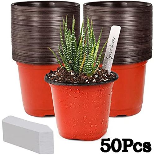 50 PiCes De Pots De Fleurs Succulentes Bicolores Plantes Vertes Fournitures De Jardinage Aspiration Douce En Plastique Pp Pots De Semis Simples En Plastique Petits Pots De Fleurs Bicolores